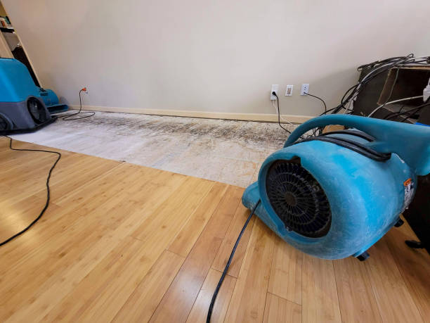 Professional Water Damage Repair technician working in Milford, IL